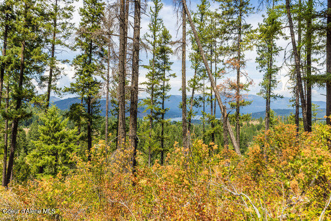 197 Schneiders Road Sagle, ID 83860 - Photo 45 of 54 081_bb193354-45_536
