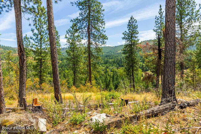 197 Schneiders Road Sagle, ID 83860 - Photo 46 of 54 083_bb193354-46_835