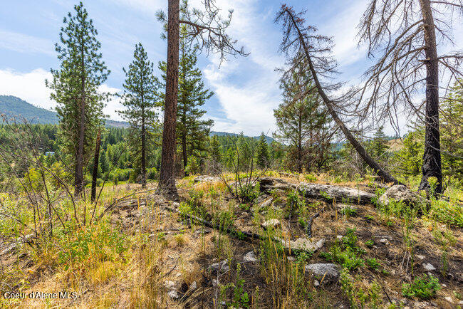 197 Schneiders Road Sagle, ID 83860 - Photo 47 of 54 085_bb193354-47_355