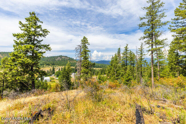 197 Schneiders Road Sagle, ID 83860 - Photo 48 of 54 087_bb193354-48_660