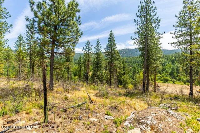 $429,000 | 197 Schneiders Road, Sagle, ID 83860