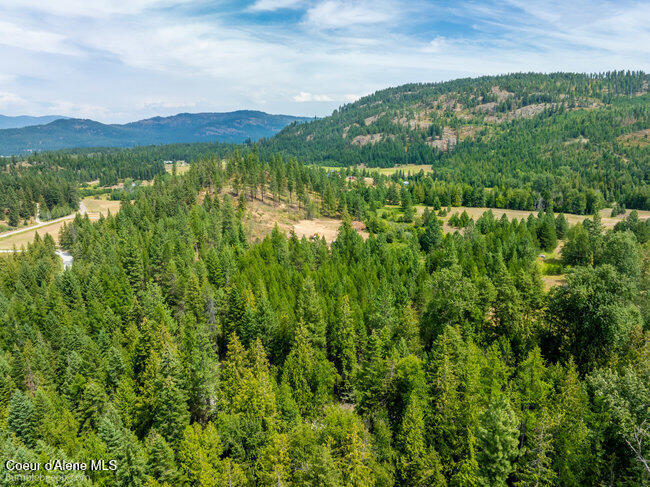 197 Schneiders Road Sagle, ID 83860 - Photo 9 of 54 009_bb193354-9_423