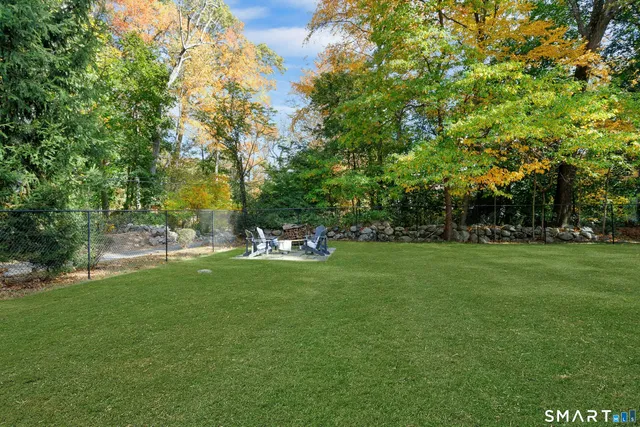 a view of a park with trees and grass