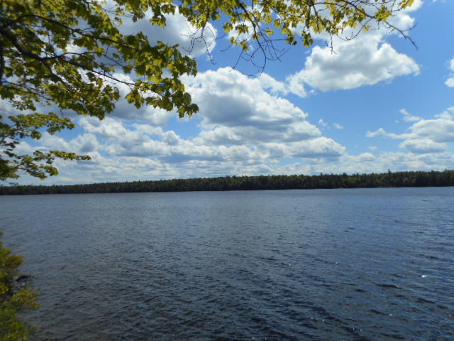 Tbd Lot 2 Tbd Road Cooper, ME 04657 - Photo 2 of 12 DSCN1485