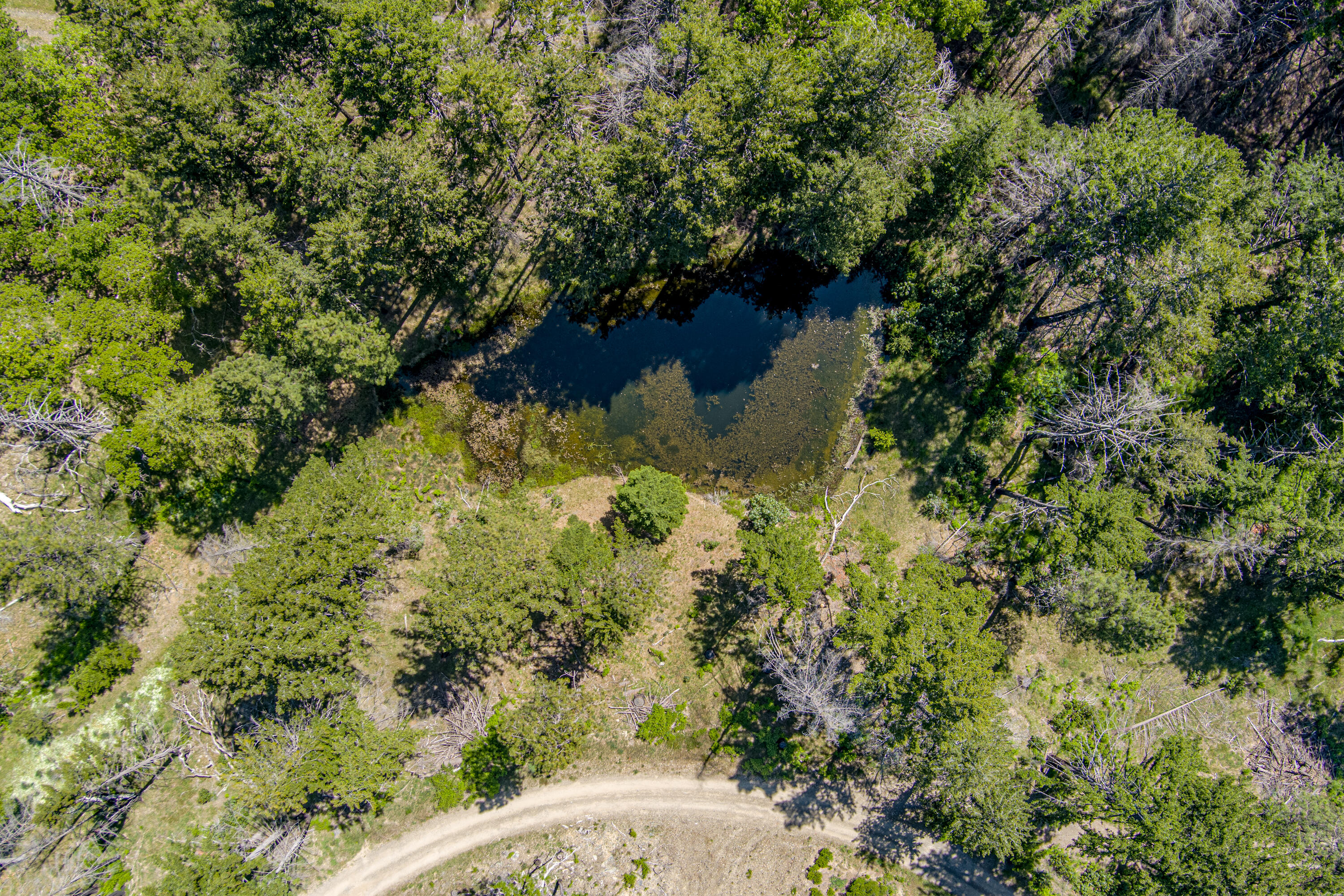 673 Thunderbolt Ranch Road Zenia, CA 95595 - Photo 41 of 50