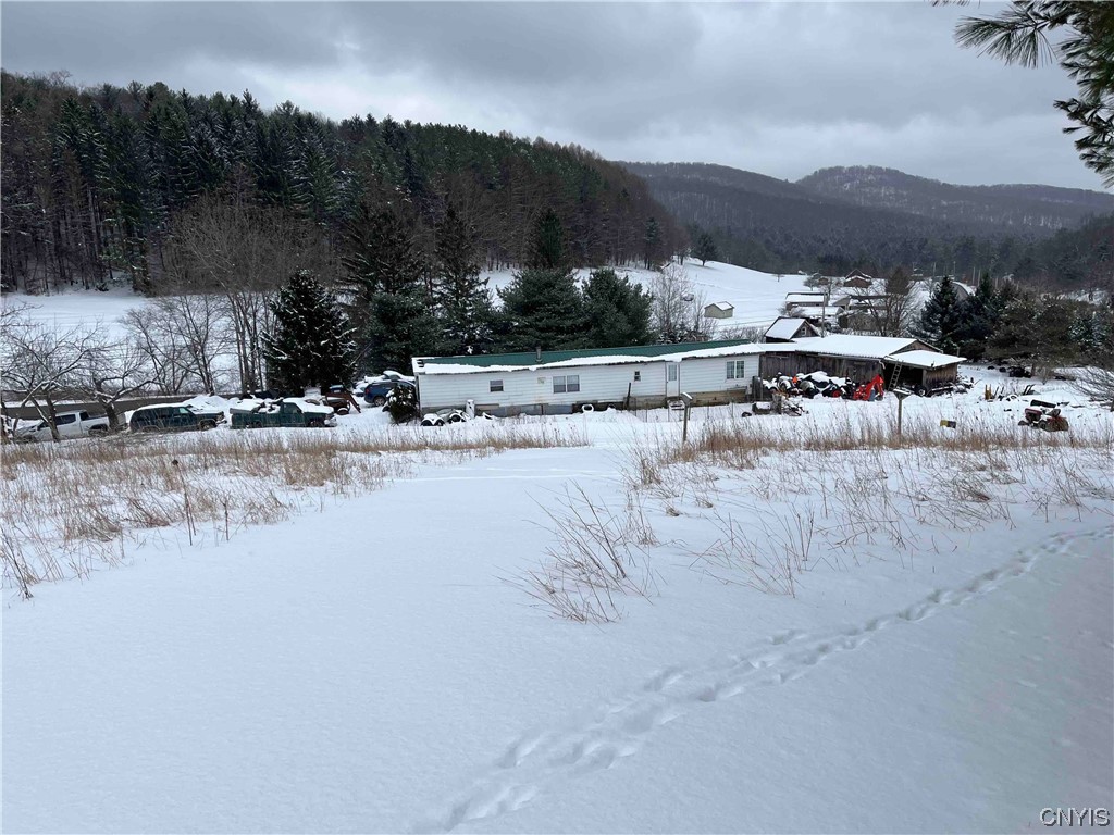 451 Horse Run Road Bolivar, NY 14754 - Photo 11 of 43