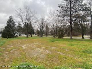 15966 Brook Road Lansing, MI 48906 - Photo 16 of 19 IMG_4749