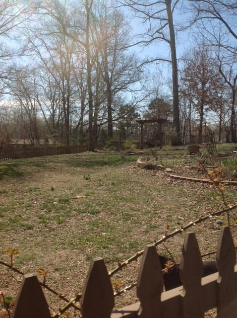 8501 Heiskell Road Powell, TN 37849 - Photo 3 of 17 yard