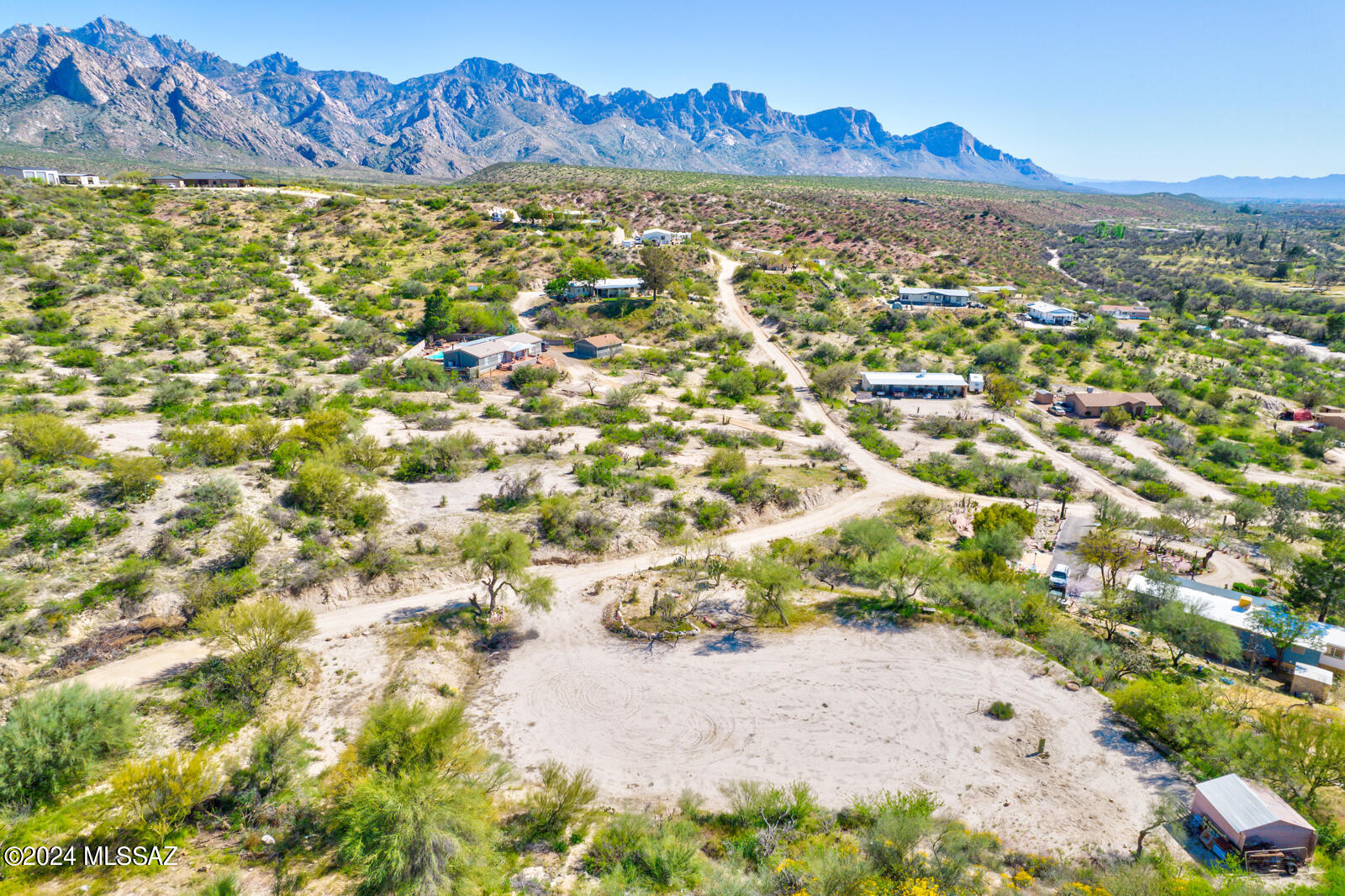 4465 East Silver Ranch Trail Tucson, AZ 85739 - Photo 11 of 27 a view of a yard with a tree