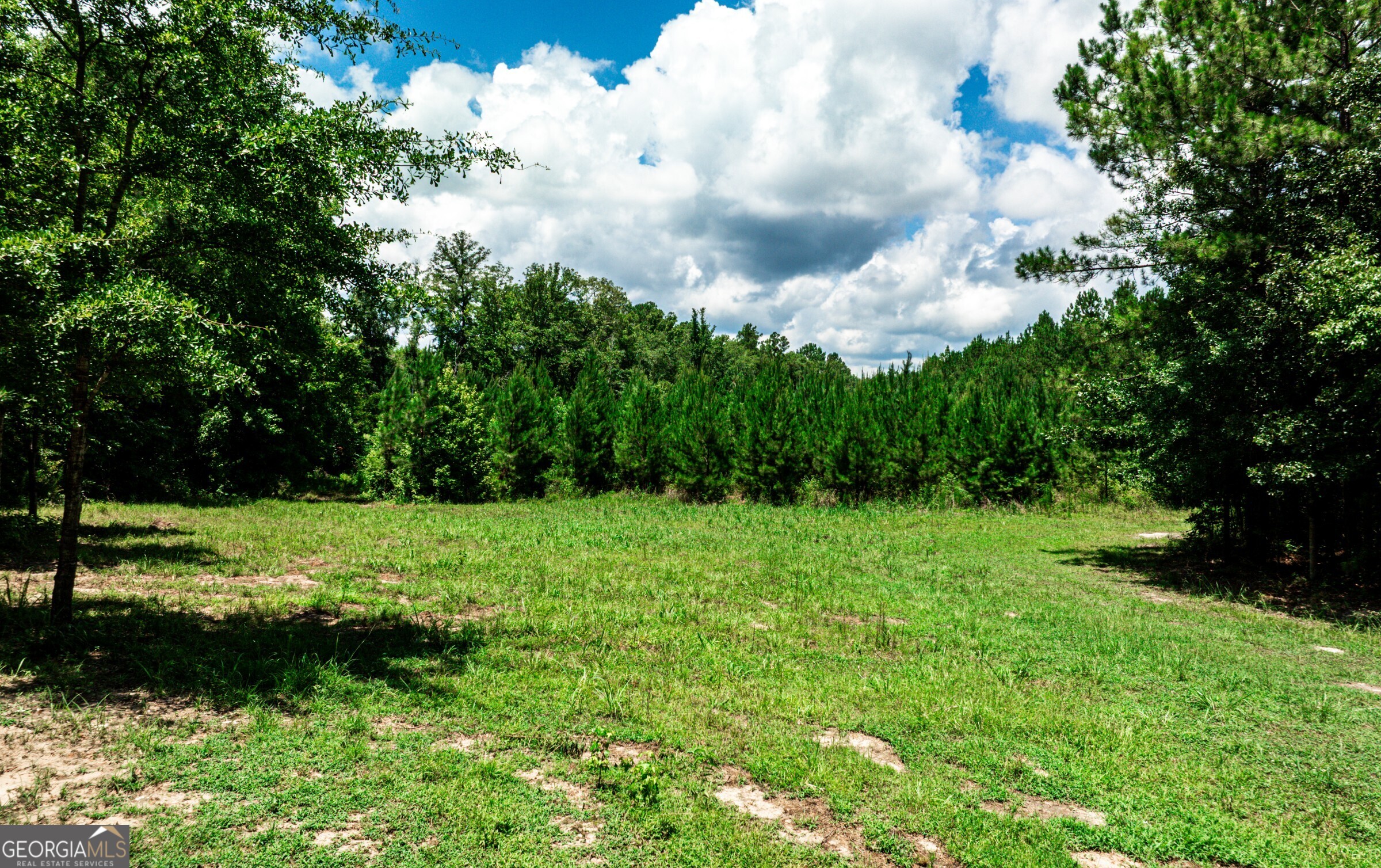 0 Wriley Road McIntyre, GA 31054 - Photo 4 of 51 Gallery Image 4