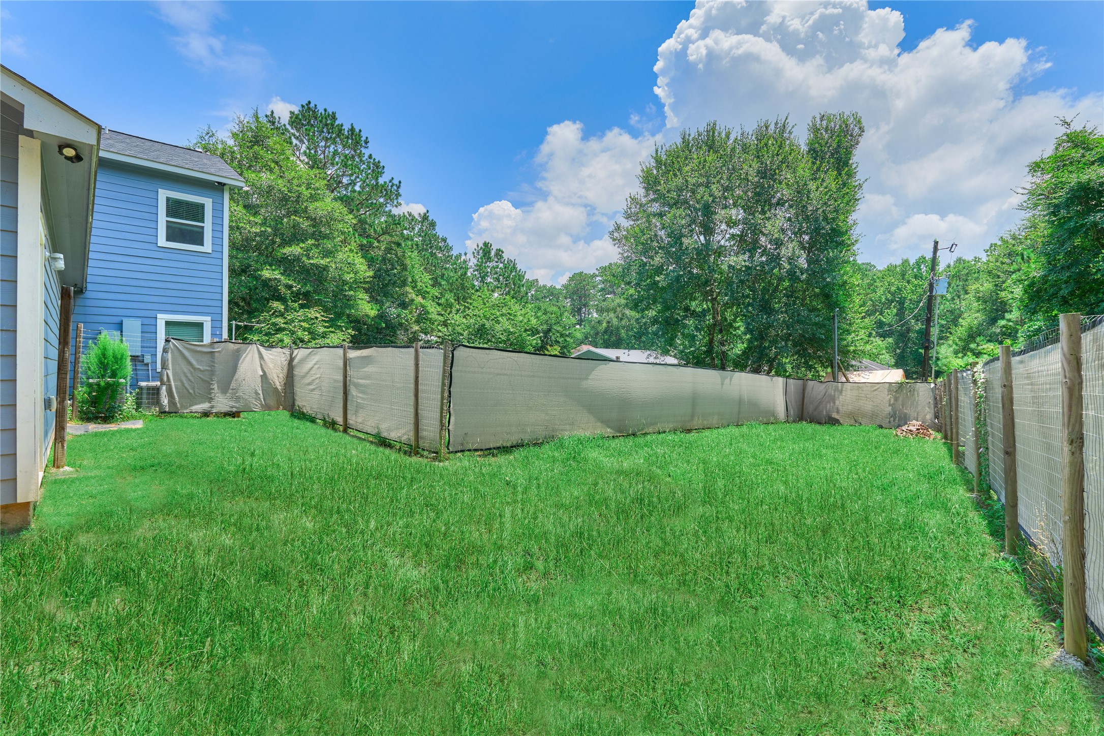 18147 Firepine Lane Montgomery, TX 77316 - Photo 22 of 25 a view of a backyard with a plants and large tree