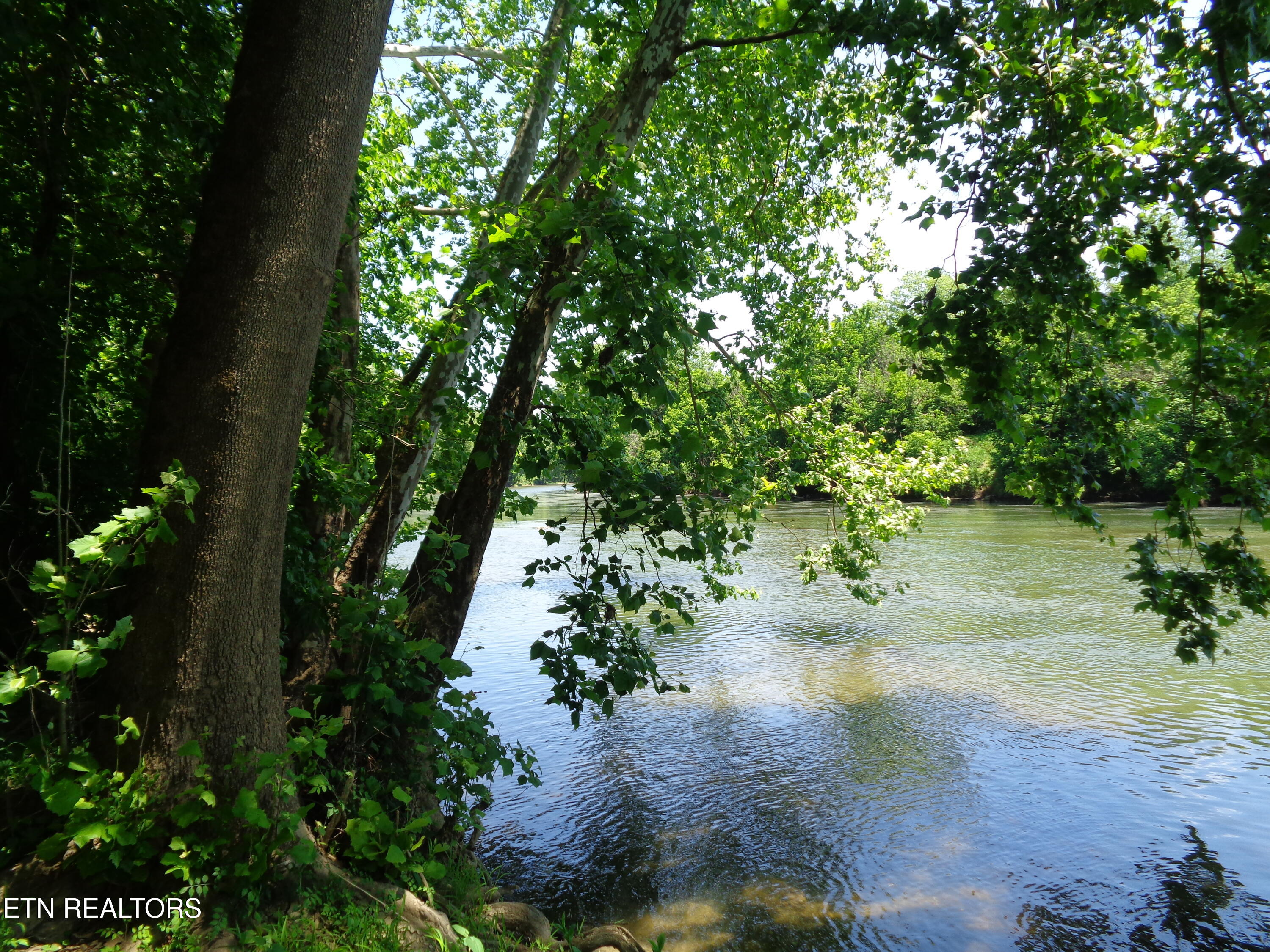 0 Kyles Ford Road Kyles Ford, TN 37765 - Photo 8 of 18 DSC01094
