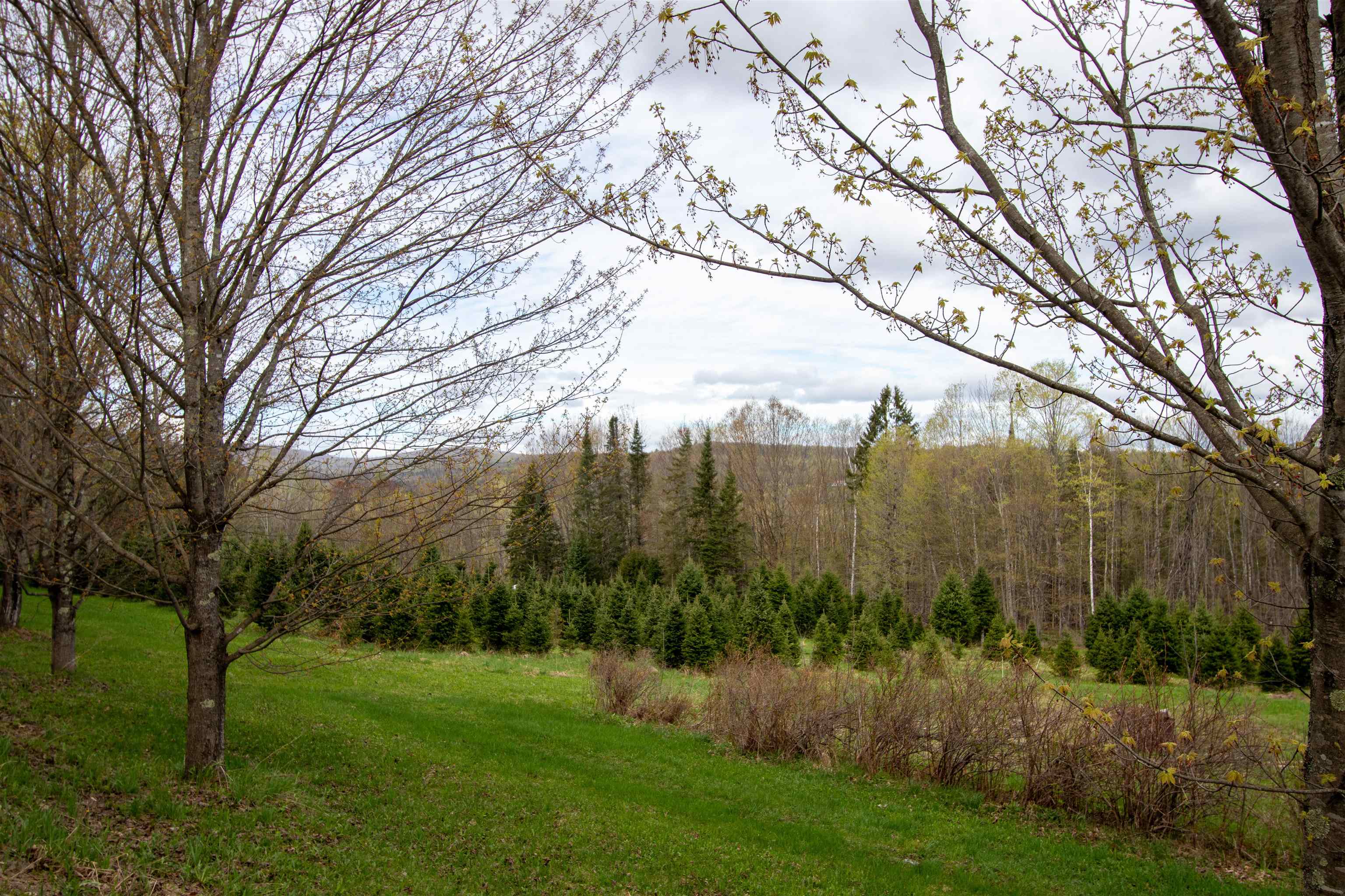 1202 Cotton Road Lyndon, VT 05851 - Photo 56 of 60 Gallery Image 56