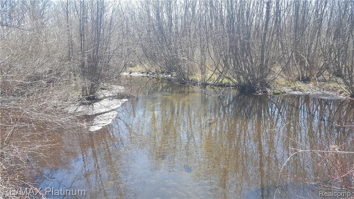 10803 South Brinton Road Edmore, MI 48829 - Photo 27 of 36 Skunk Creek