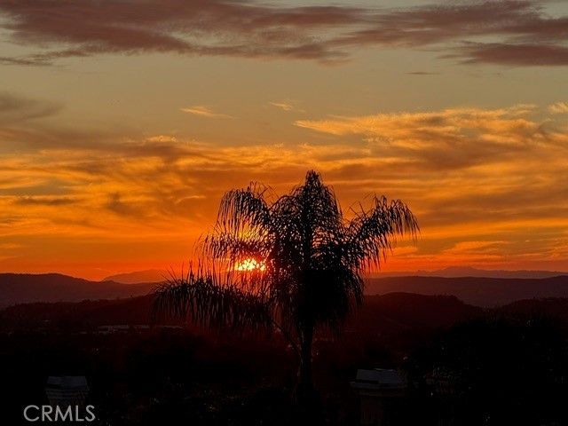 21581 Hummingbird Street Rancho Santa Margarita, CA 92679 - Photo 40 of 56 Nature's Artistry