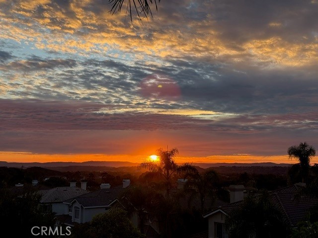 21581 Hummingbird Street Rancho Santa Margarita, CA 92679 - Photo 41 of 56 Nature's Paintbrush Magic