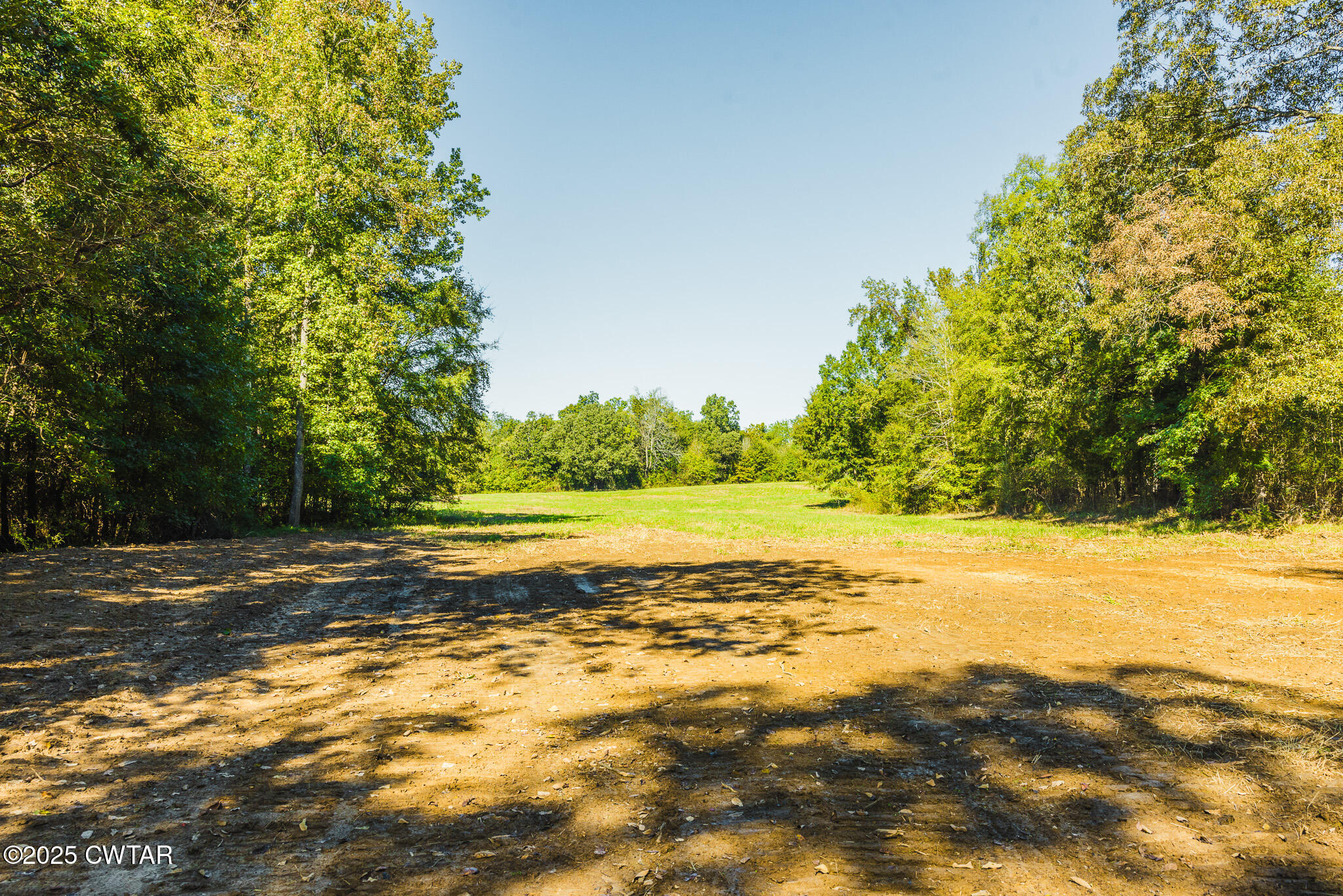 1 Hearn Road Greenfield, TN 38230 - Photo 10 of 14 FT8A9802