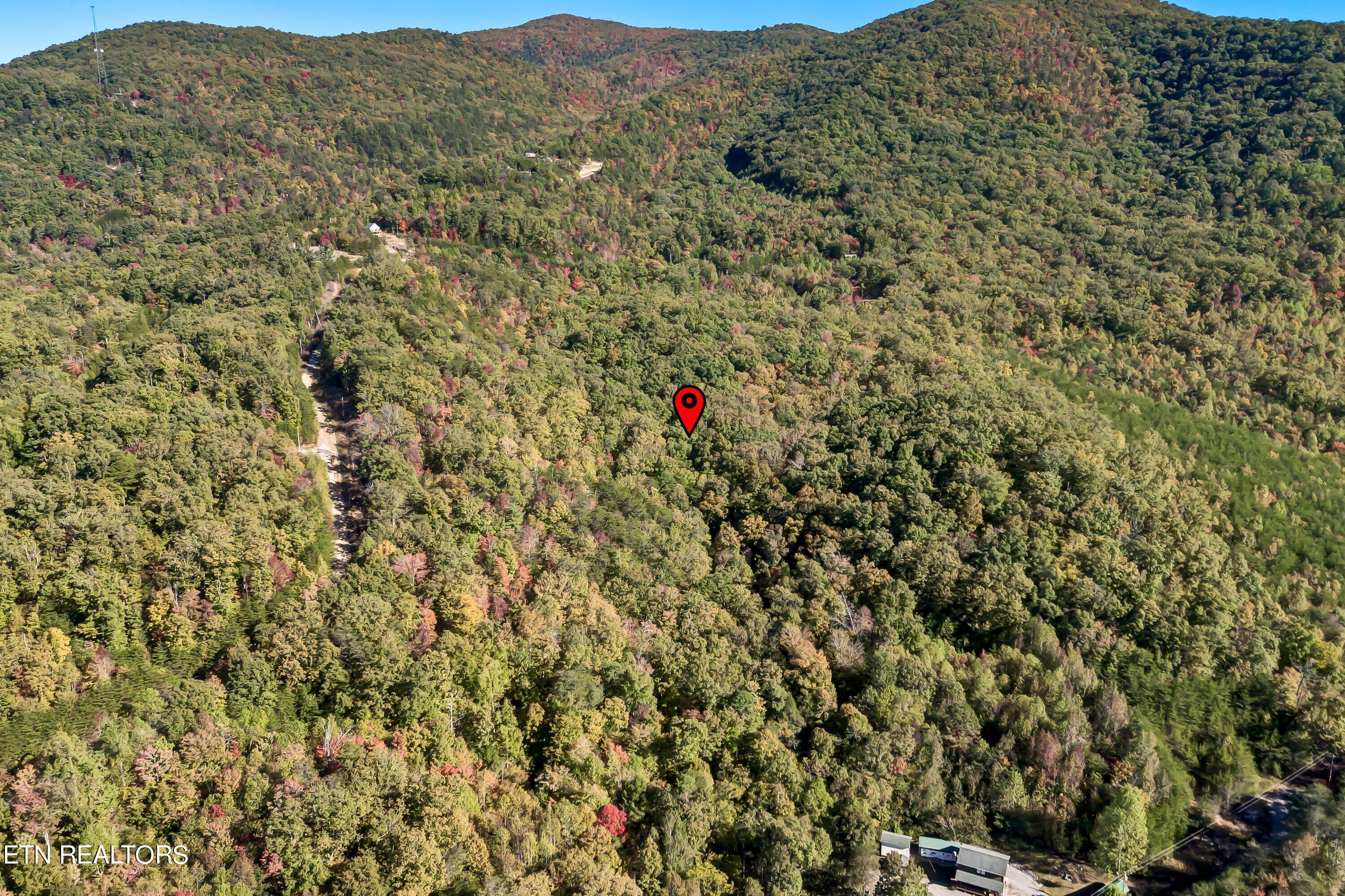 11 Acres Hartford Rd Road Newport, TN 37821 - Photo 8 of 15 Hartford Rd-6