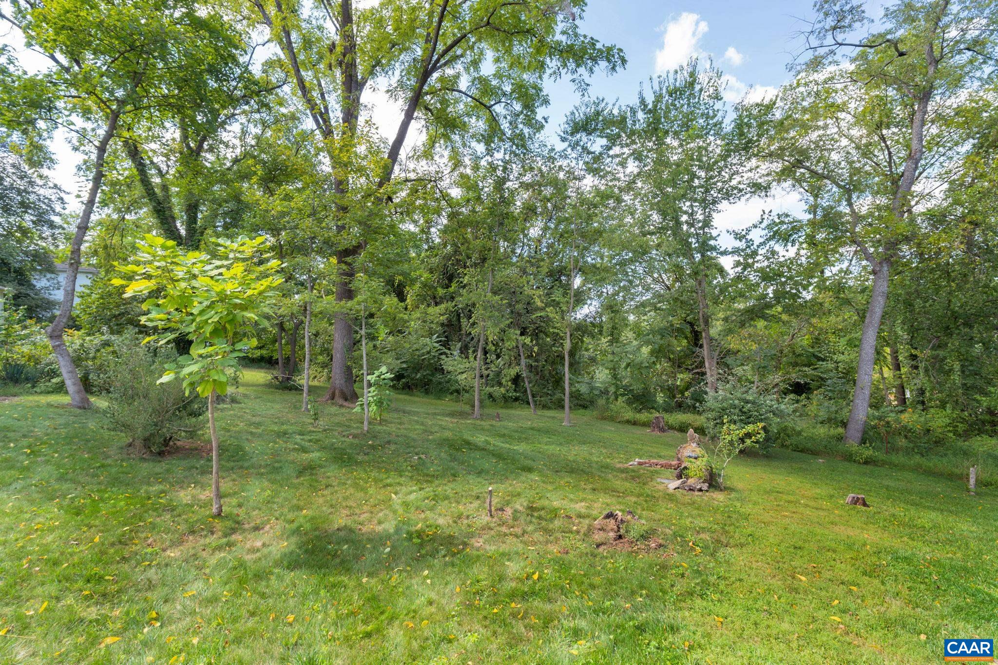 945 Locust Avenue Charlottesville, VA 22901 - Photo 40 of 52 a view of a park