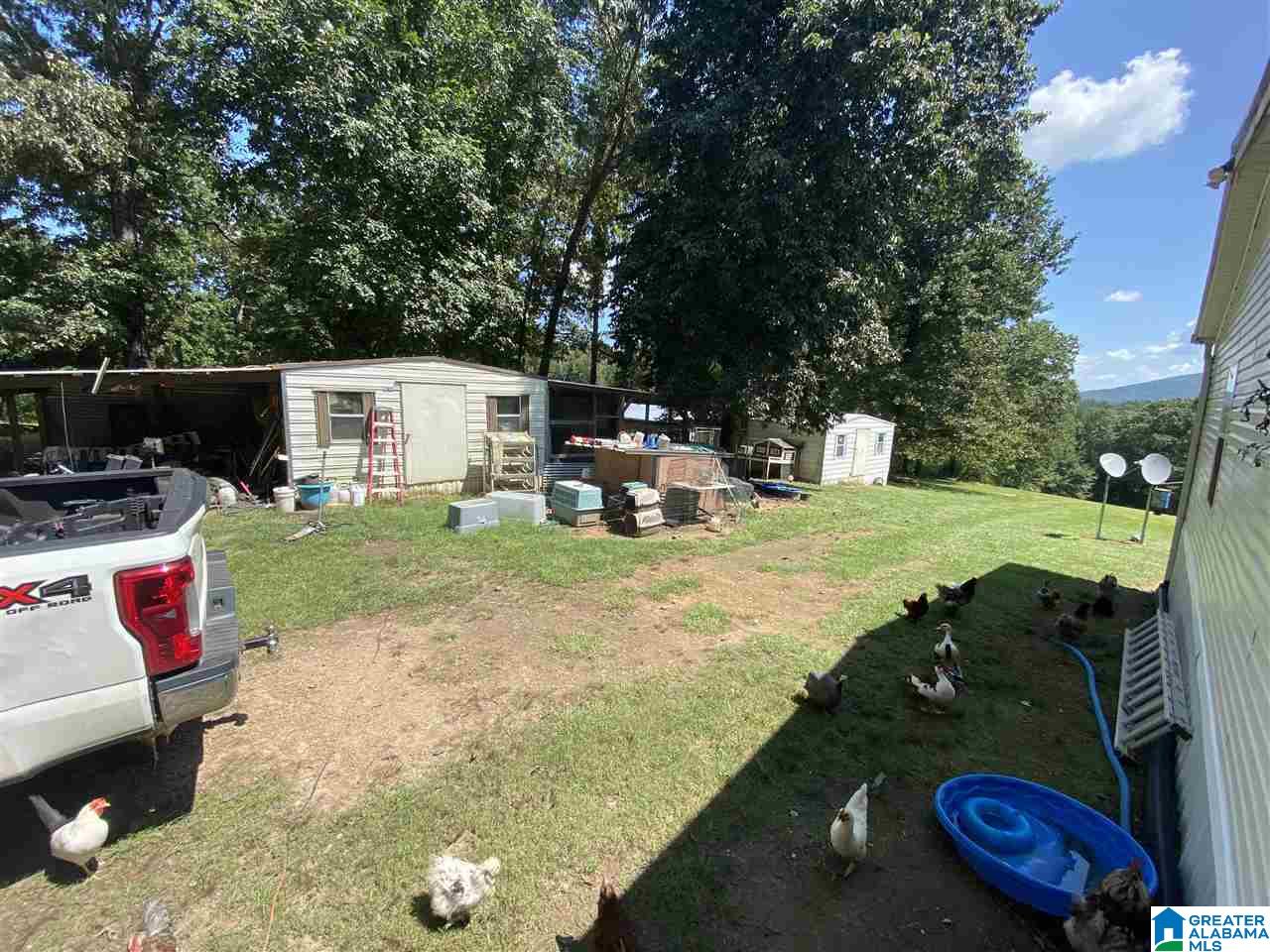 2825 Odena Road North Sylacauga, AL 35150 - Photo 16 of 17