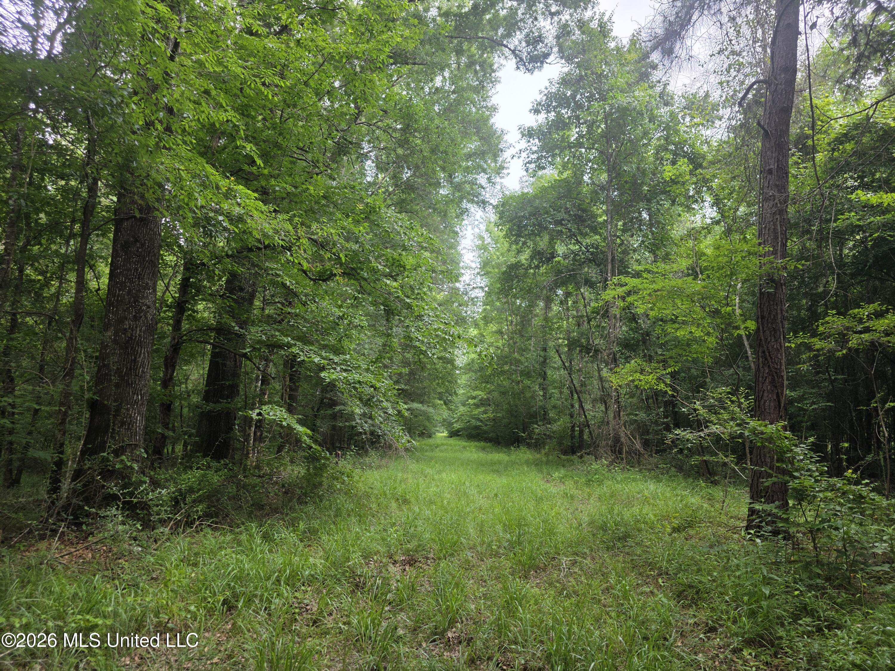 244 Foster Road Sontag, MS 39665 - Photo 79 of 105 35760
