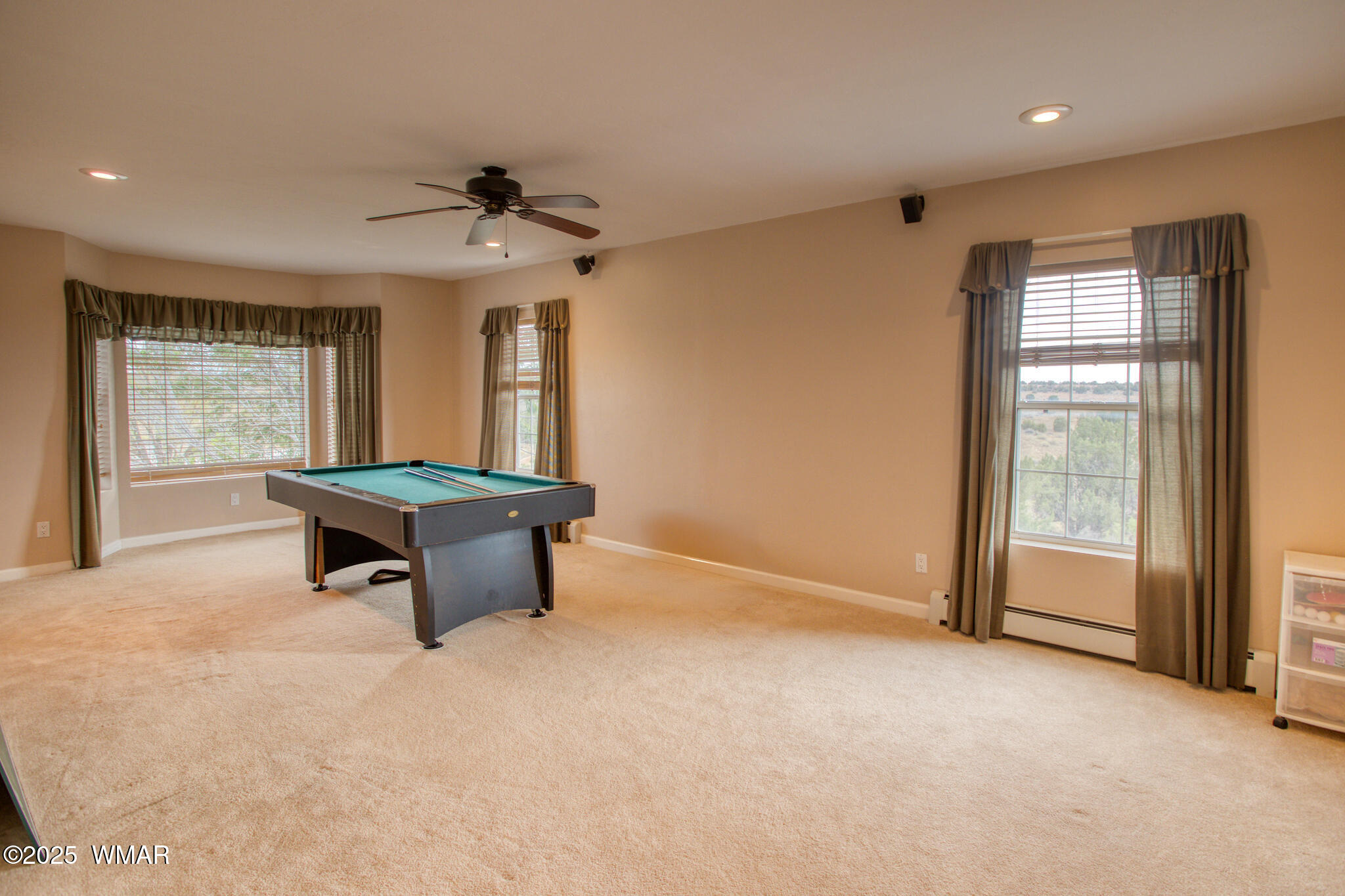 9410 Butler Trail Snowflake, AZ 85937 - Photo 48 of 62 an empty room with windows and ceiling fan
