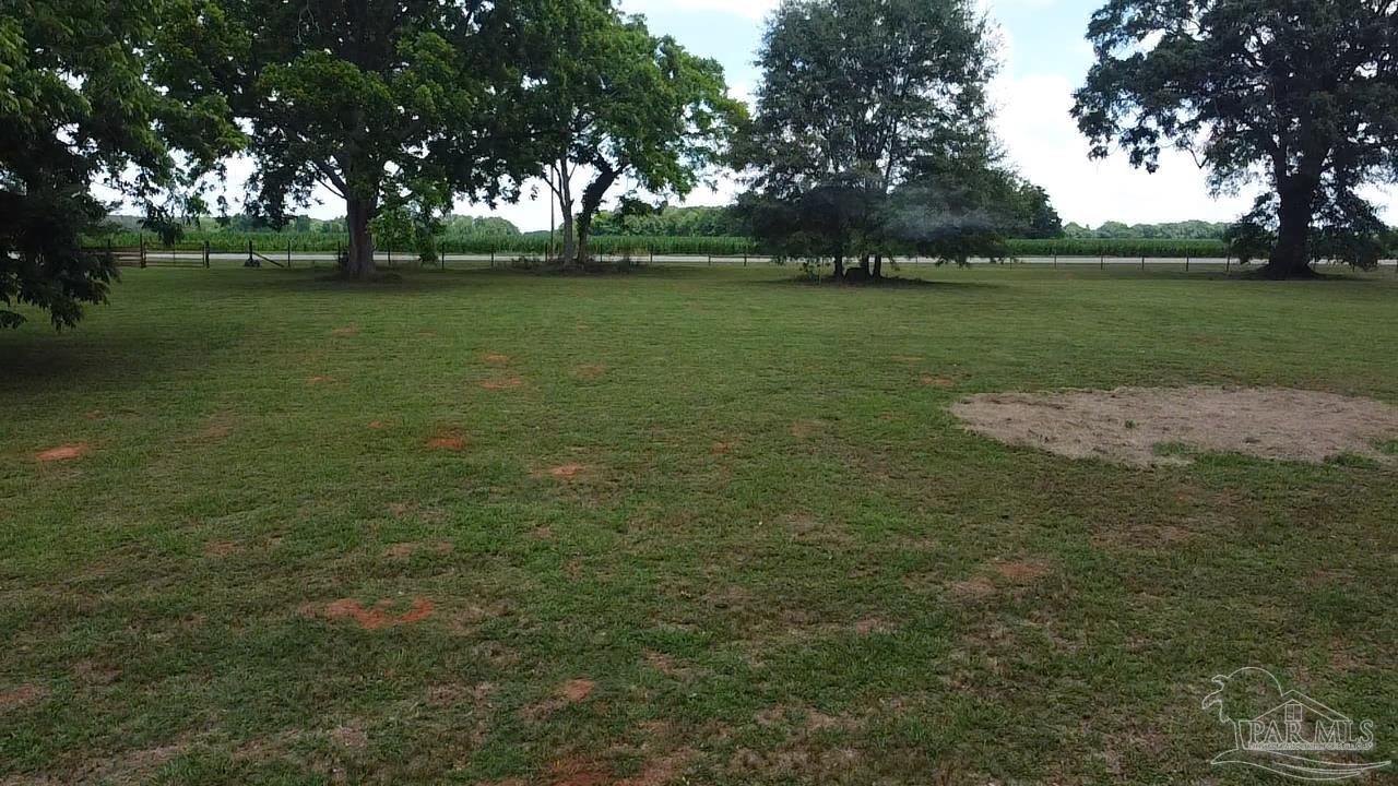 145 Tower Road Uriah, AL 36480 - Photo 47 of 72 a view of outdoor space with green space