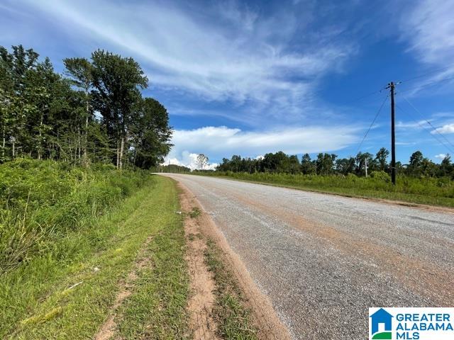16 County Road, Unit TRACT 1 60 Roanoke, AL 36274 - Photo 2 of 4