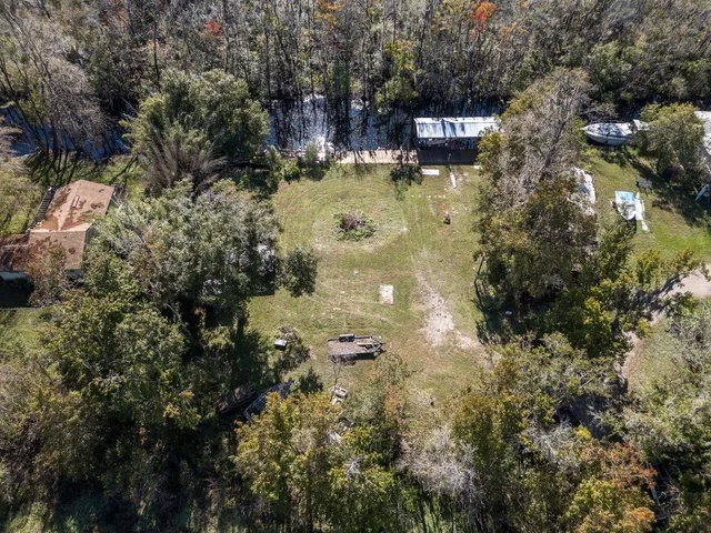a view of a yard with plants and tree