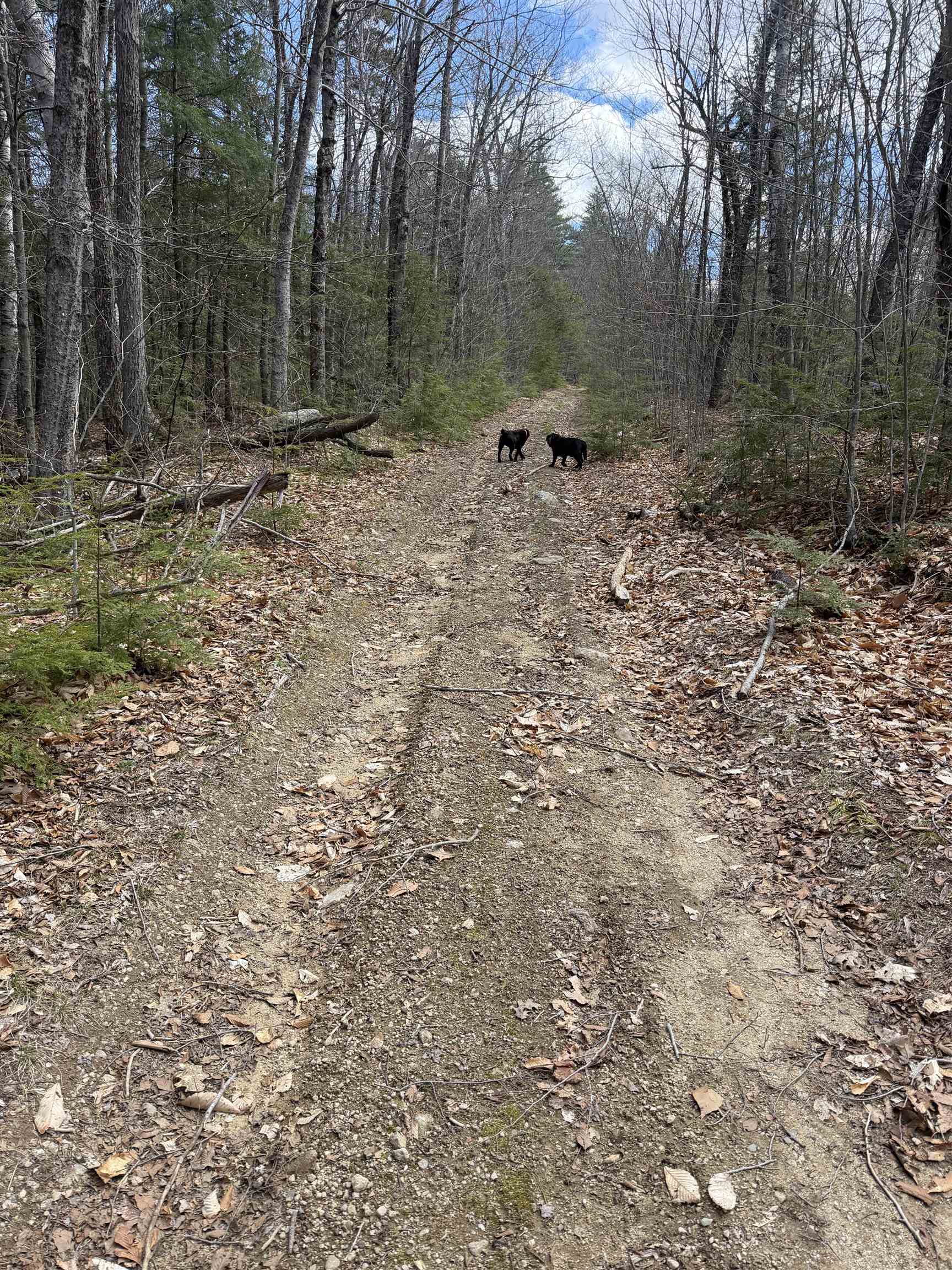 R29-l9 Roxbury Road, Unit LOT 9 Meredith, NH 03253 - Photo 12 of 36