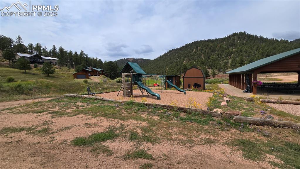 259 Vermillion Road Lake George, CO 80827 - Photo 11 of 46 a view of a house with a yard and sitting area