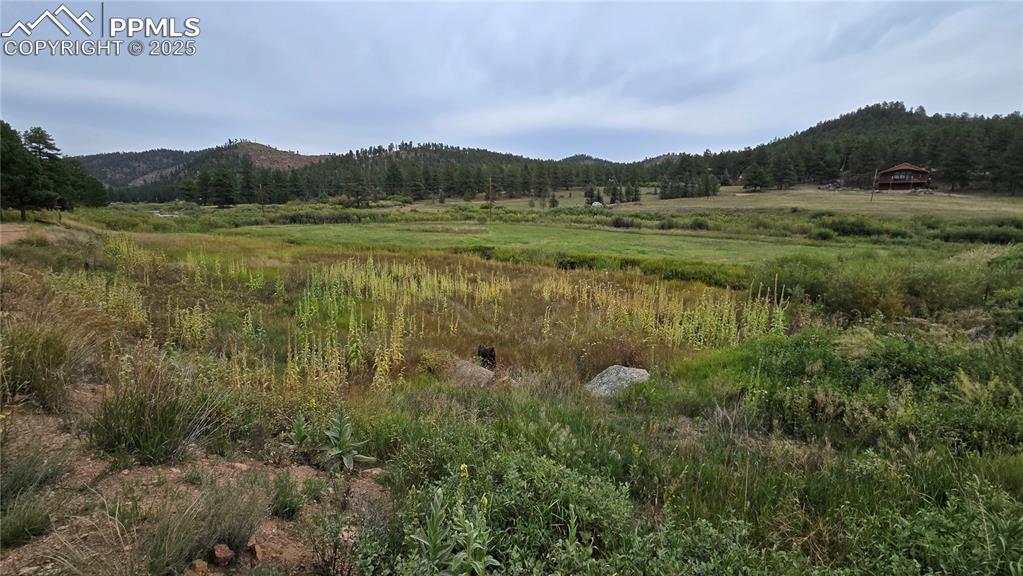259 Vermillion Road Lake George, CO 80827 - Photo 13 of 46 a view of mountain with lake view