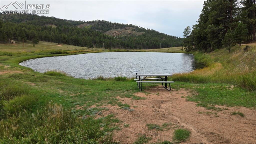 259 Vermillion Road Lake George, CO 80827 - Photo 15 of 46 a view of a field with a small yard