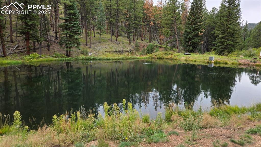 259 Vermillion Road Lake George, CO 80827 - Photo 16 of 46 a view of lake