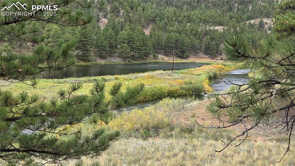 259 Vermillion Road Lake George, CO 80827 - Photo 17 of 46 a view of a lake with houses