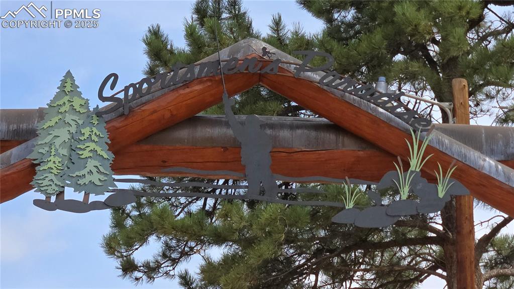 259 Vermillion Road Lake George, CO 80827 - Photo 18 of 46 a picture of trees