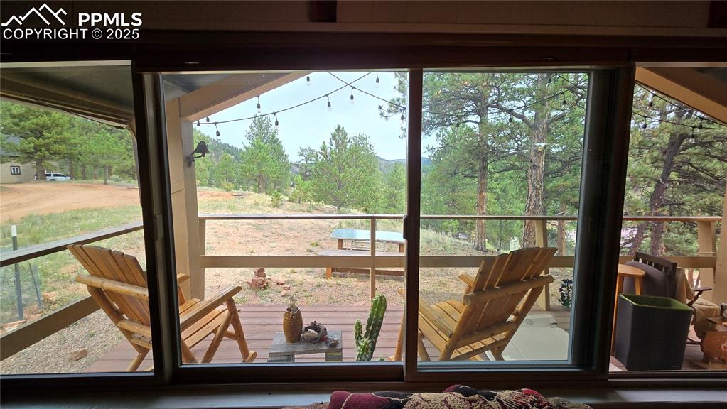 259 Vermillion Road Lake George, CO 80827 - Photo 24 of 46 a view of room with window