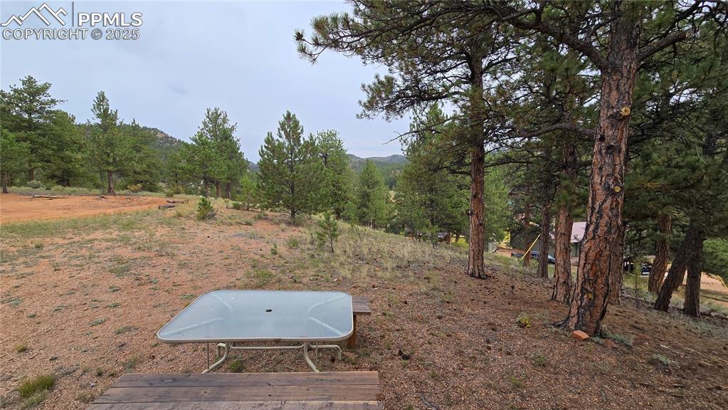 259 Vermillion Road Lake George, CO 80827 - Photo 25 of 46 a view of a outdoor space with trees all around