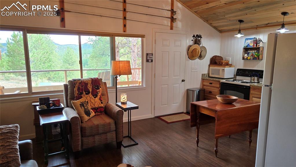 259 Vermillion Road Lake George, CO 80827 - Photo 29 of 46 a work room with furniture and a window