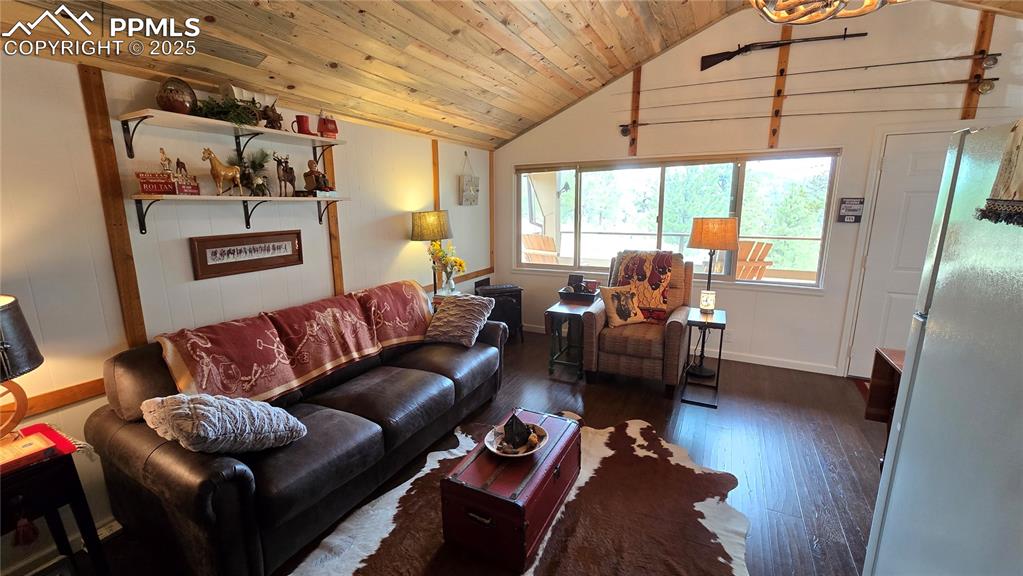 259 Vermillion Road Lake George, CO 80827 - Photo 30 of 46 a living room with furniture and a window