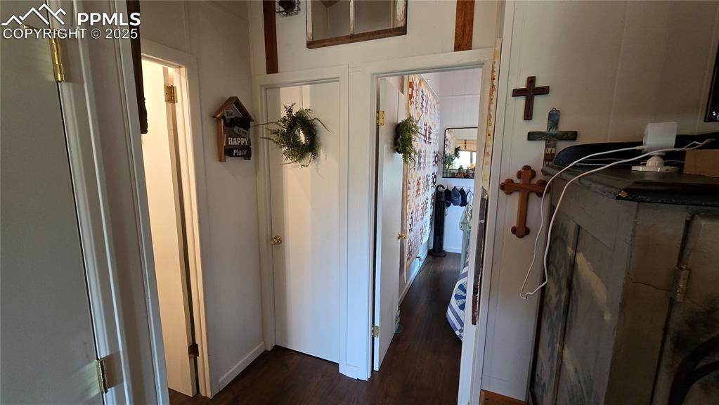 259 Vermillion Road Lake George, CO 80827 - Photo 39 of 46 a view of walk in closet with clothes and shoes
