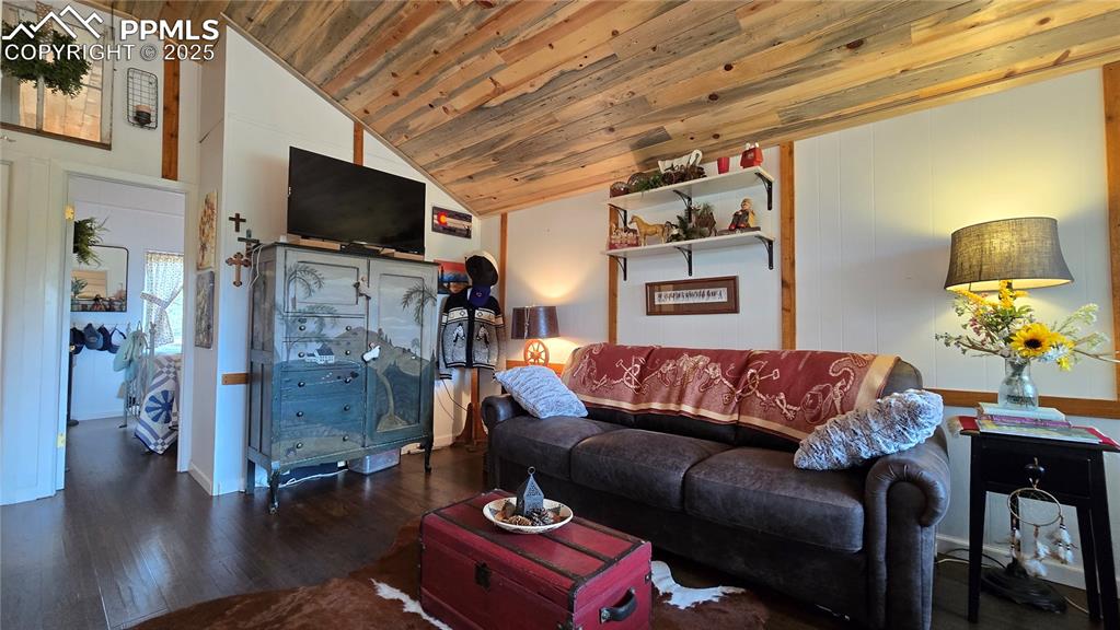 259 Vermillion Road Lake George, CO 80827 - Photo 40 of 46 a living room with furniture and a flat screen tv