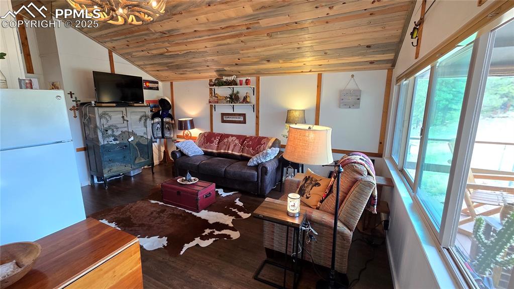 259 Vermillion Road Lake George, CO 80827 - Photo 4 of 46 a living room with furniture a flat screen tv and a fireplace