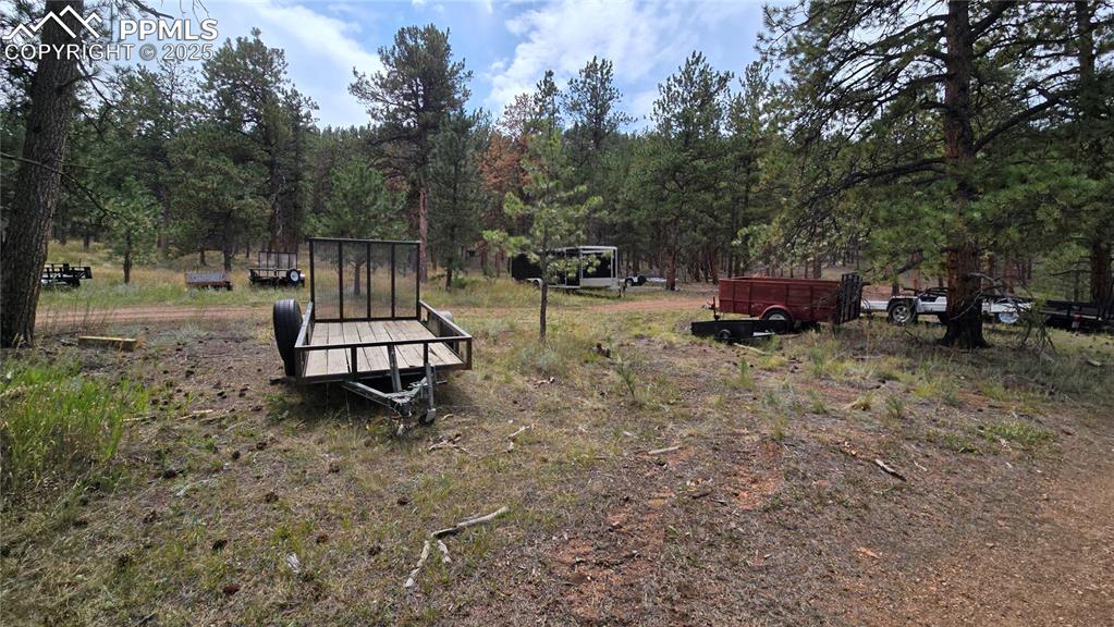 259 Vermillion Road Lake George, CO 80827 - Photo 43 of 46