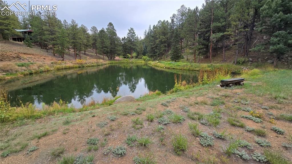 259 Vermillion Road Lake George, CO 80827 - Photo 45 of 46 a view of a lake with a forest