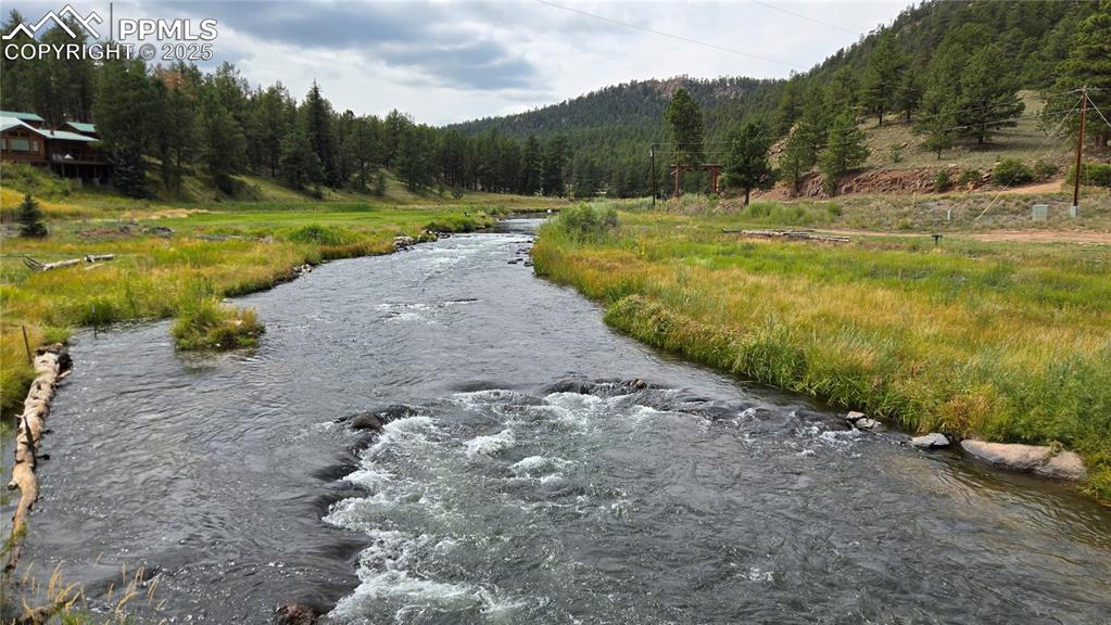 259 Vermillion Road Lake George, CO 80827 - Photo 8 of 46 a view of an outdoor space and yard