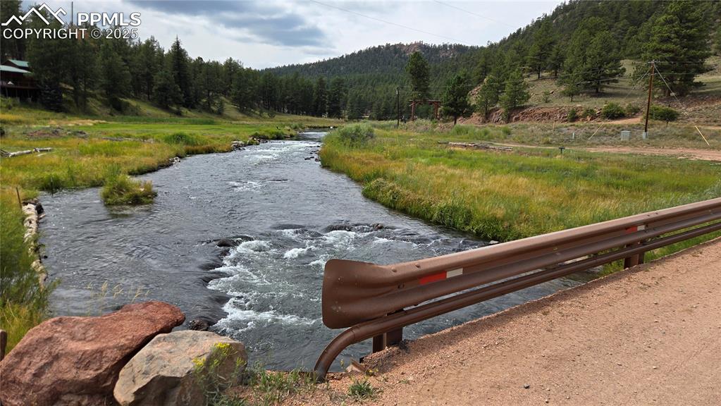 259 Vermillion Road Lake George, CO 80827 - Photo 9 of 46 a view of a bench in the backyard