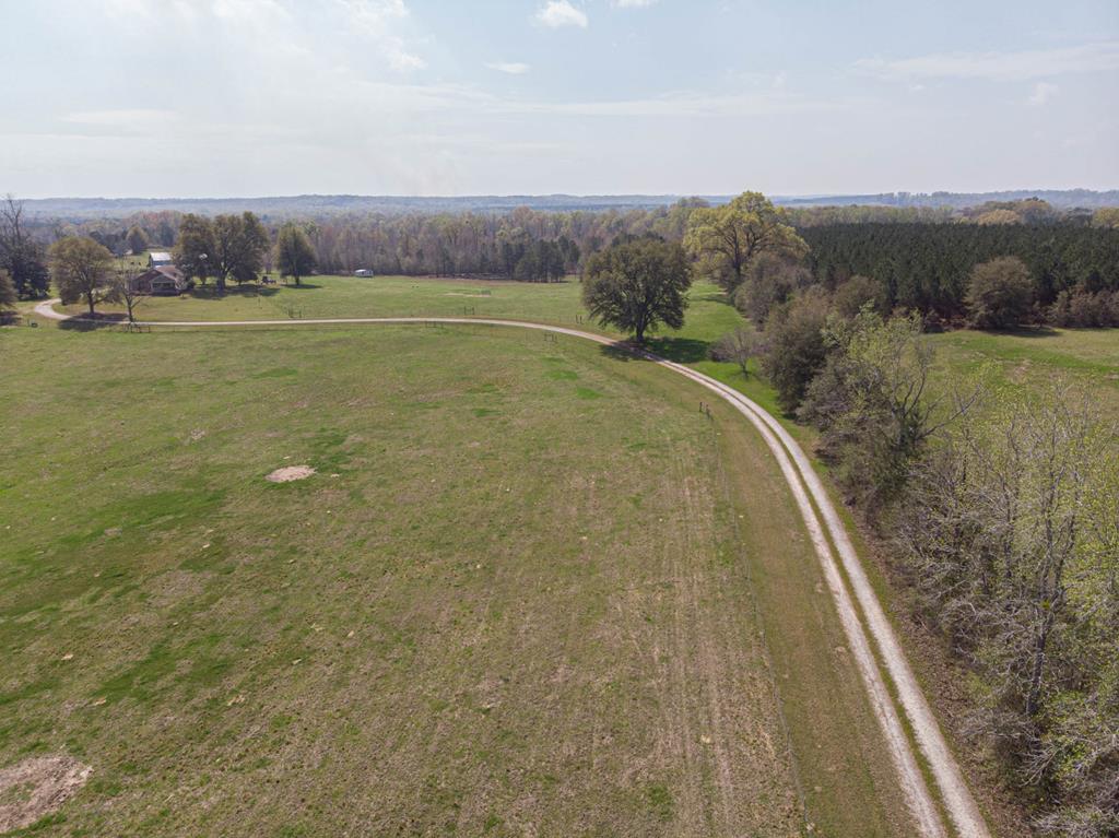 193 Padgetts Road Seale, AL 36875 - Photo 38 of 49 a view of a field with an ocean