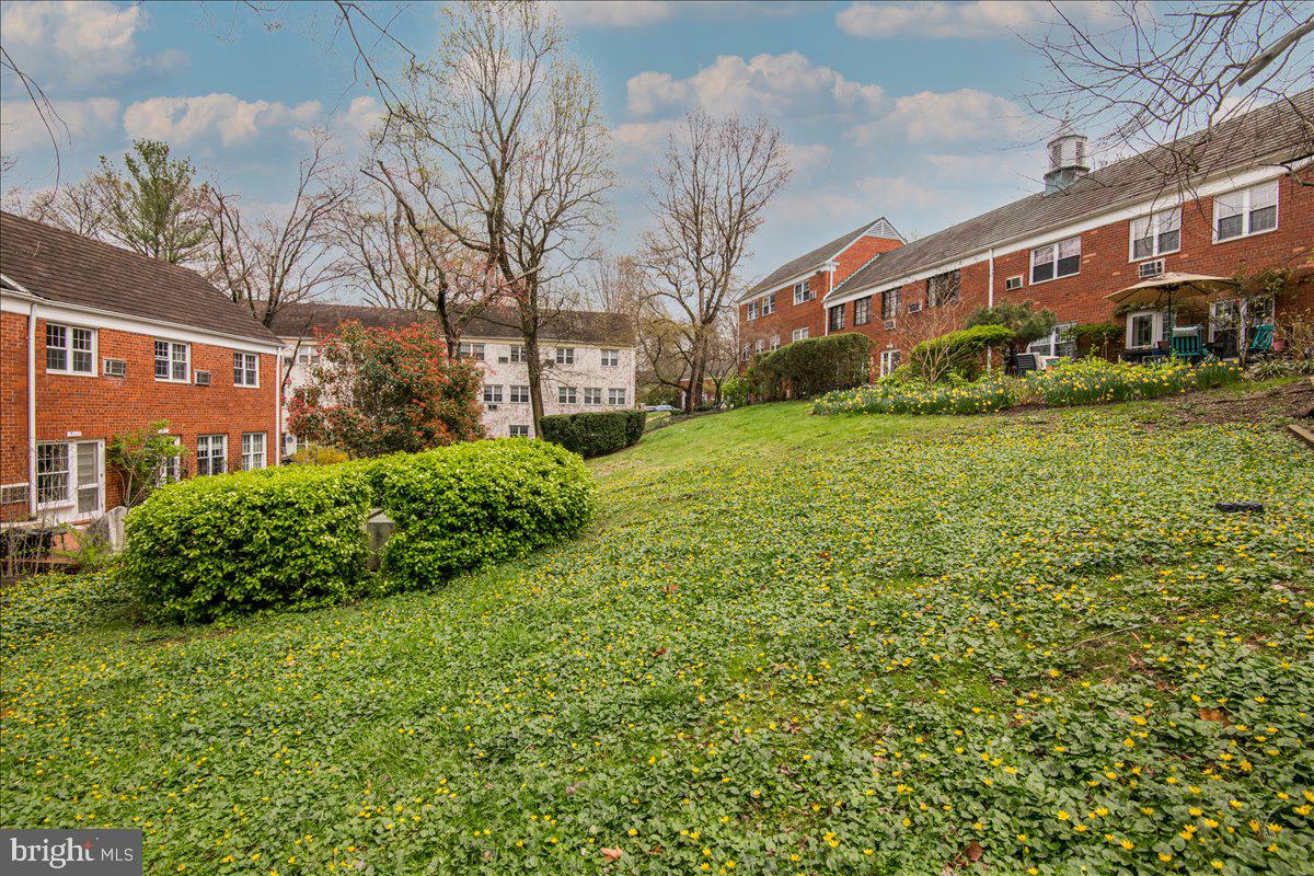 3537 Martha Custis Drive Alexandria, VA 22302 - Photo 13 of 26