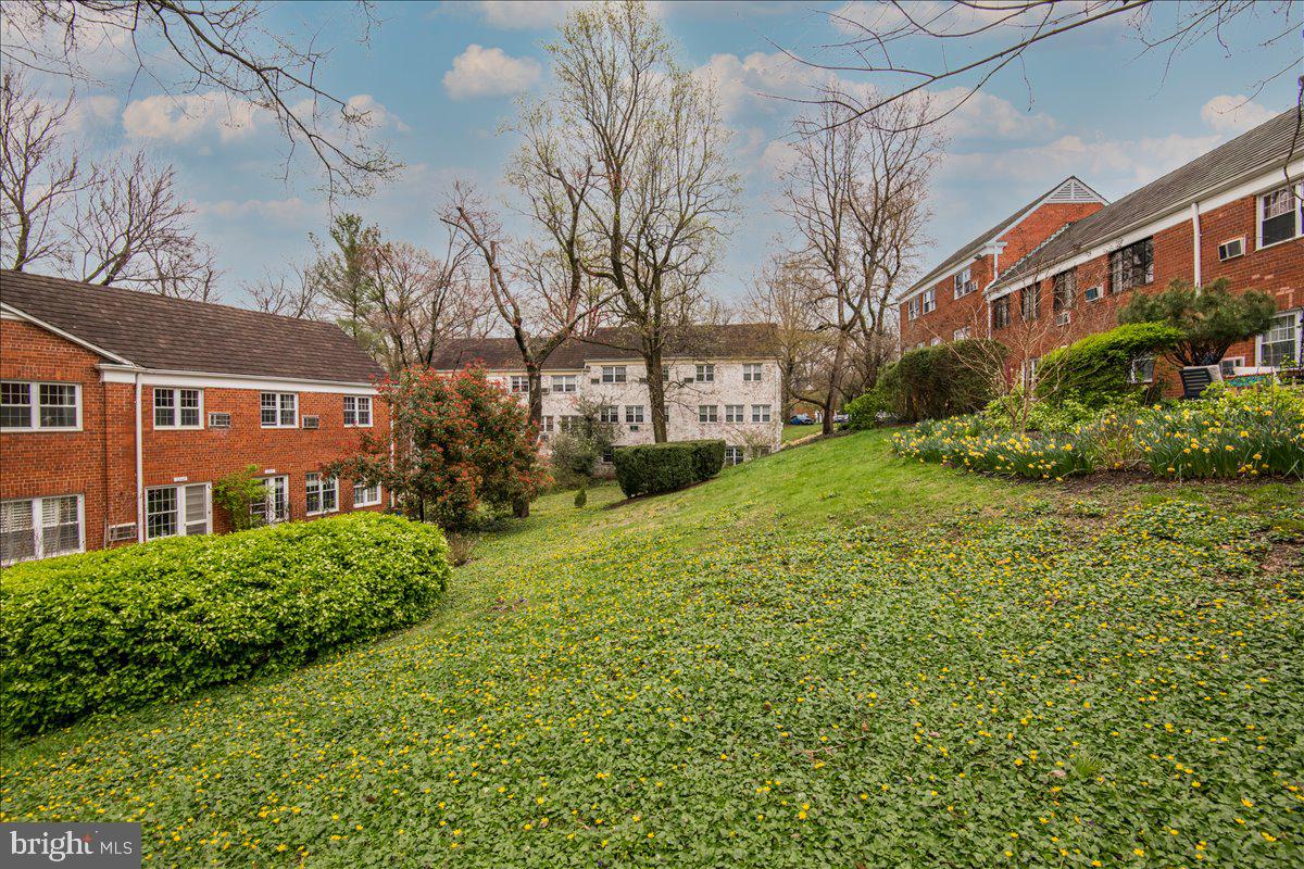 3537 Martha Custis Drive Alexandria, VA 22302 - Photo 26 of 26